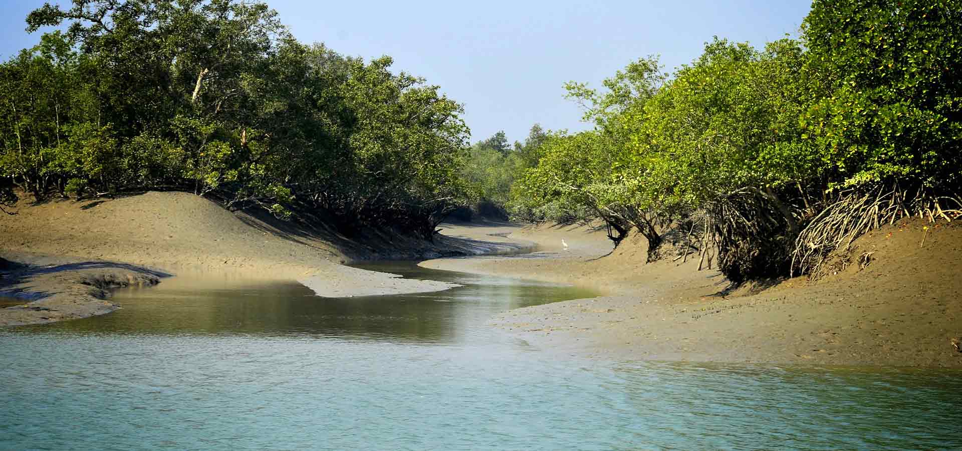 sundarbans-tour-package-banner