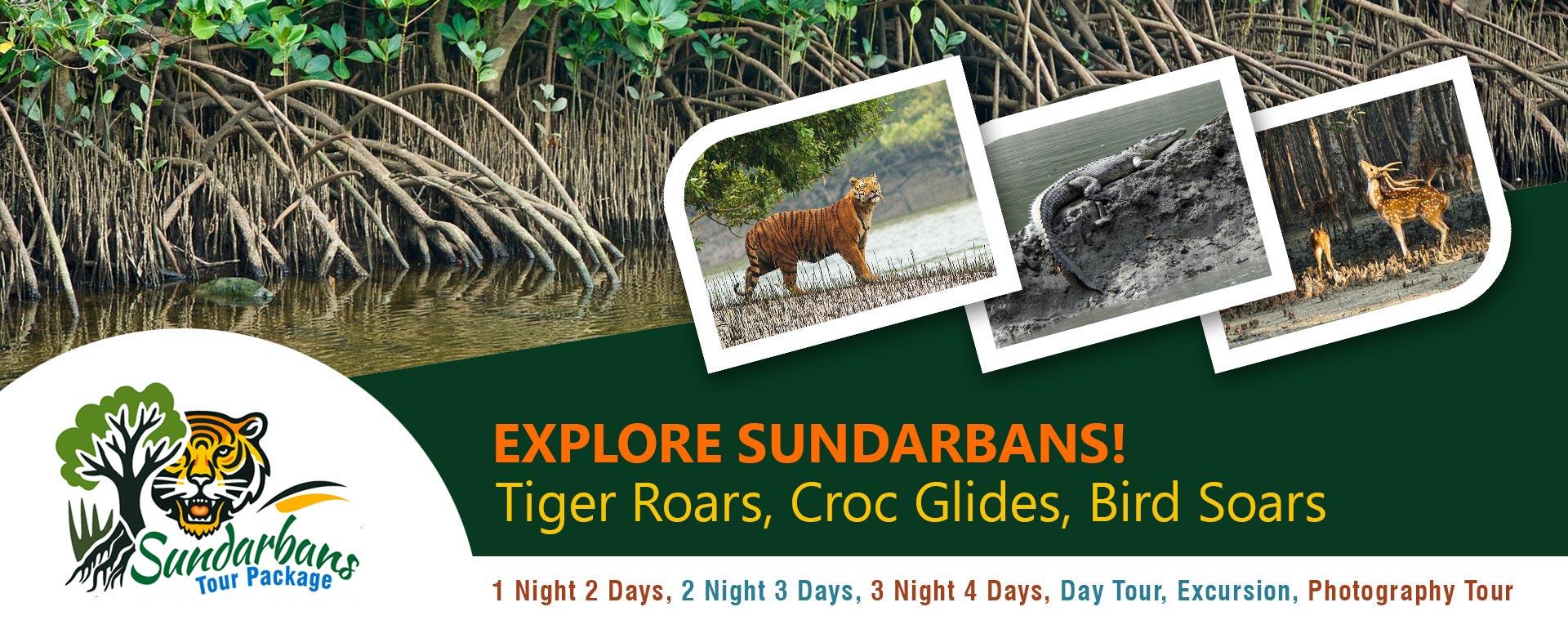 sundarbans tour package